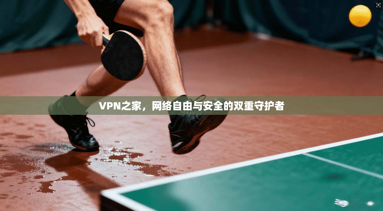 VPN之家，网络自由与安全的双重守护者