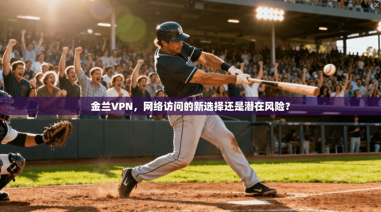 金兰VPN，网络访问的新选择还是潜在风险？