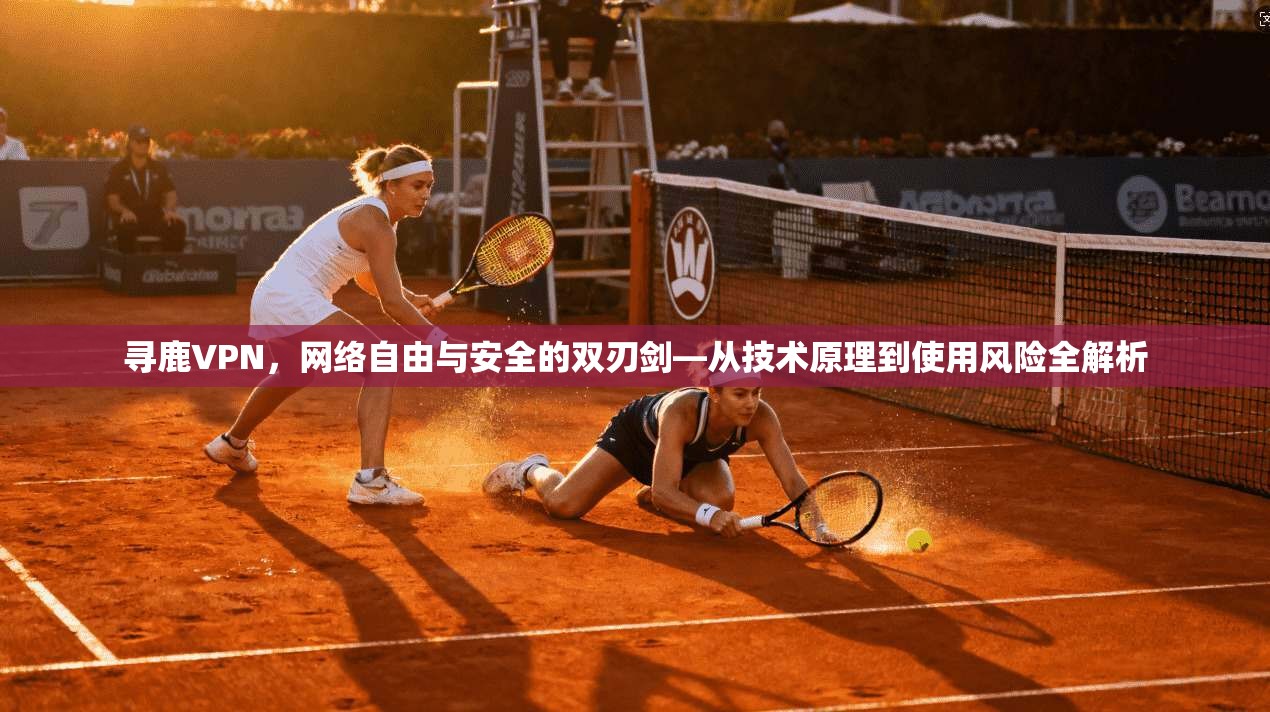 寻鹿VPN，网络自由与安全的双刃剑—从技术原理到使用风险全解析