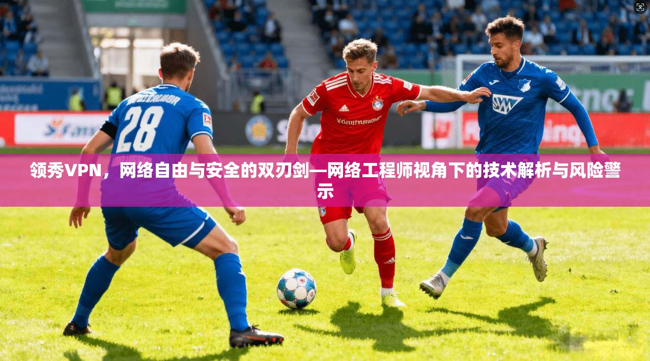 领秀VPN，网络自由与安全的双刃剑—网络工程师视角下的技术解析与风险警示