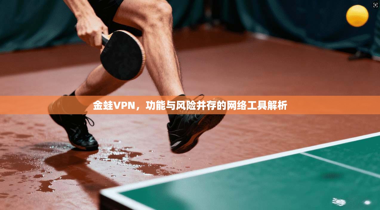 金蛙VPN，功能与风险并存的网络工具解析