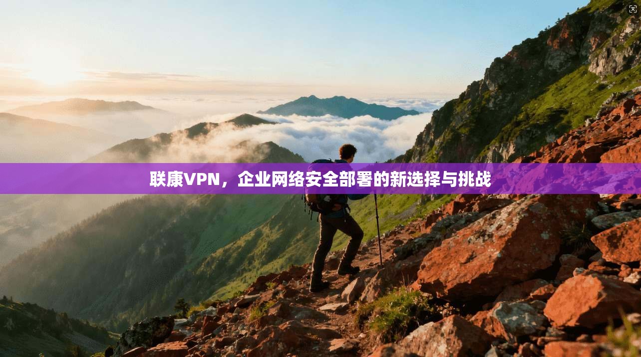 联康VPN，企业网络安全部署的新选择与挑战