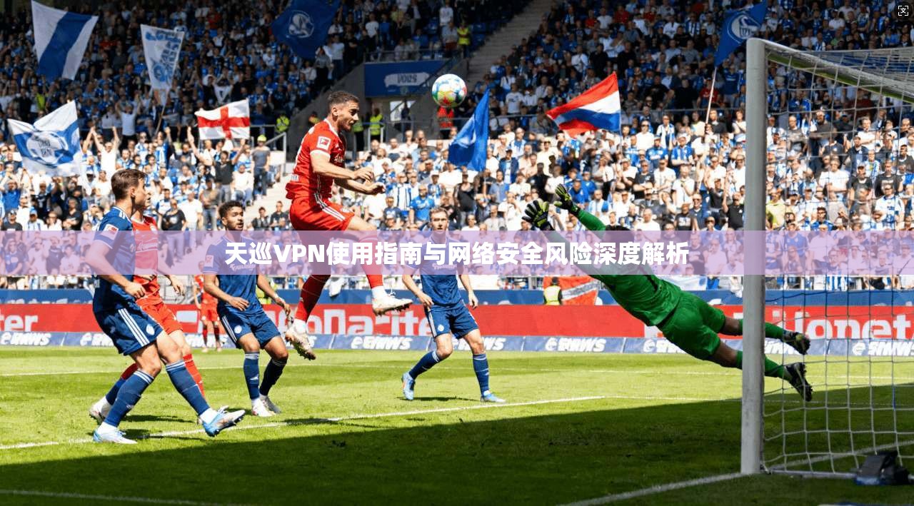 天巡VPN使用指南与网络安全风险深度解析