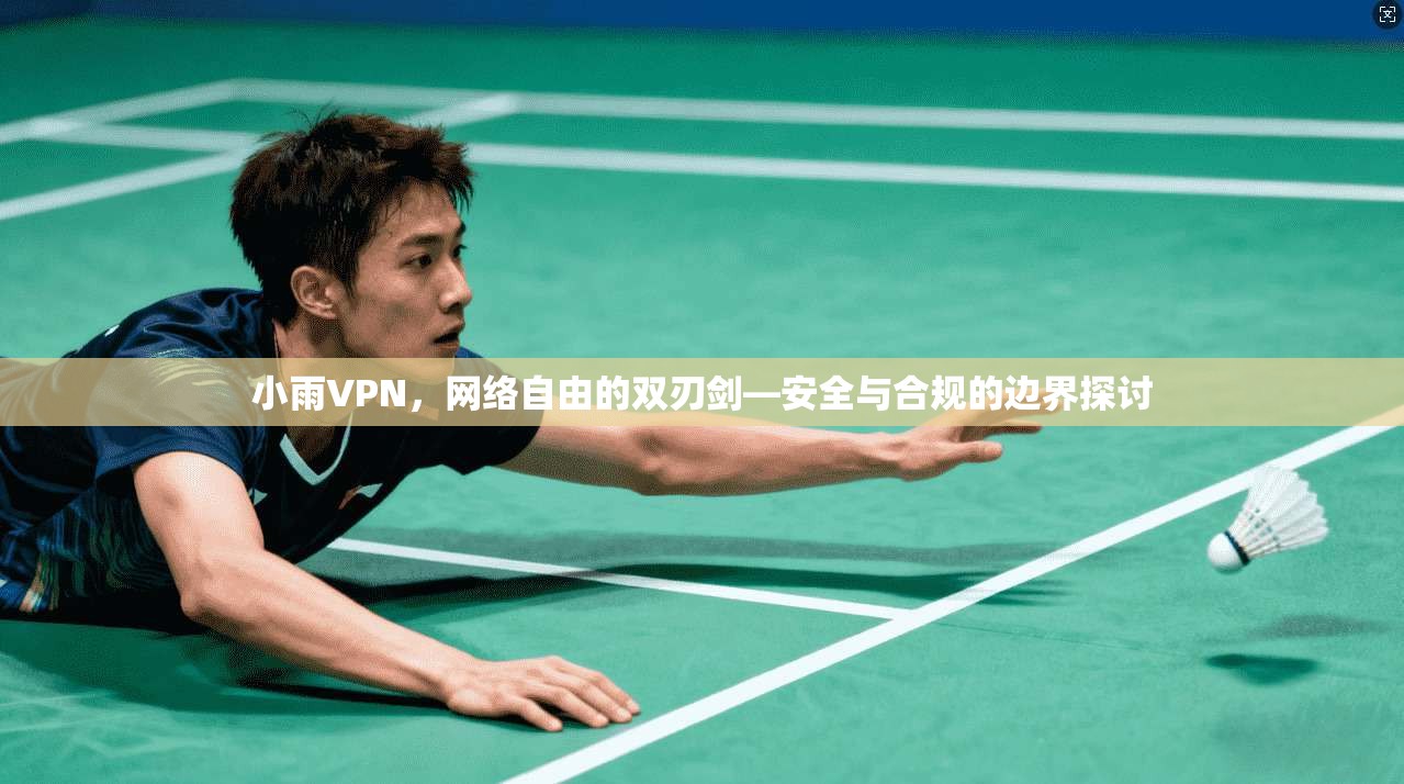 小雨VPN，网络自由的双刃剑—安全与合规的边界探讨