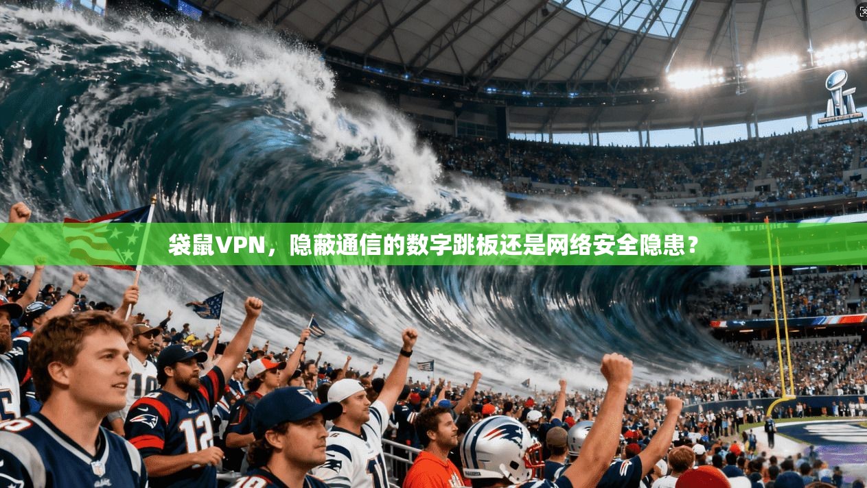 袋鼠VPN，隐蔽通信的数字跳板还是网络安全隐患？