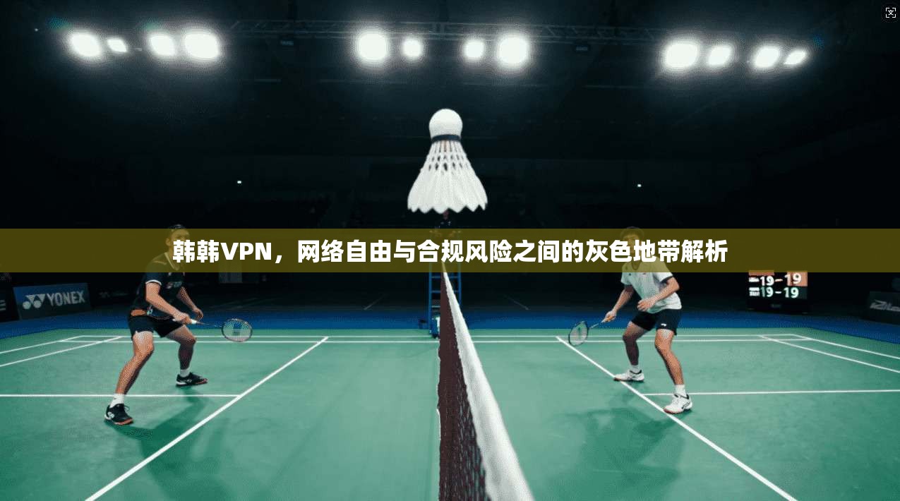 韩韩VPN，网络自由与合规风险之间的灰色地带解析