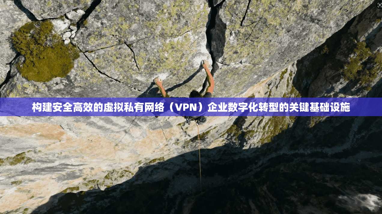 构建安全高效的虚拟私有网络（VPN）企业数字化转型的关键基础设施