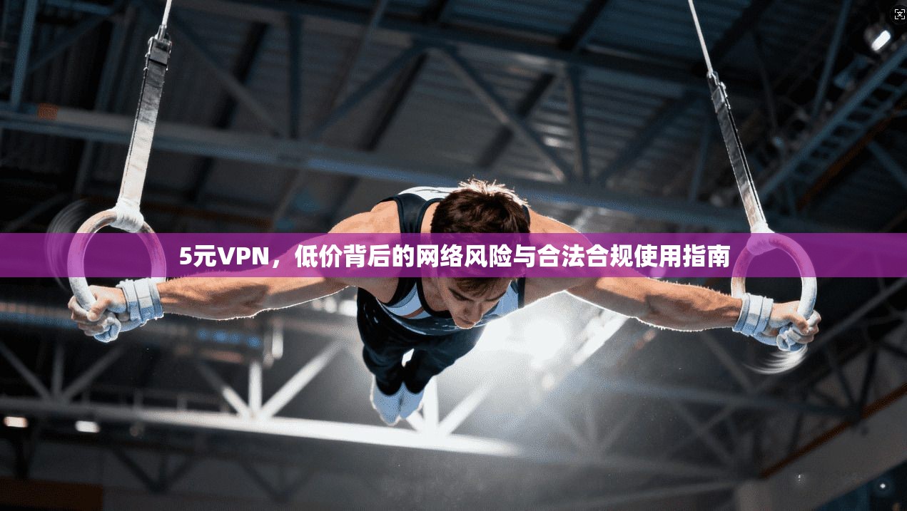 5元VPN，低价背后的网络风险与合法合规使用指南