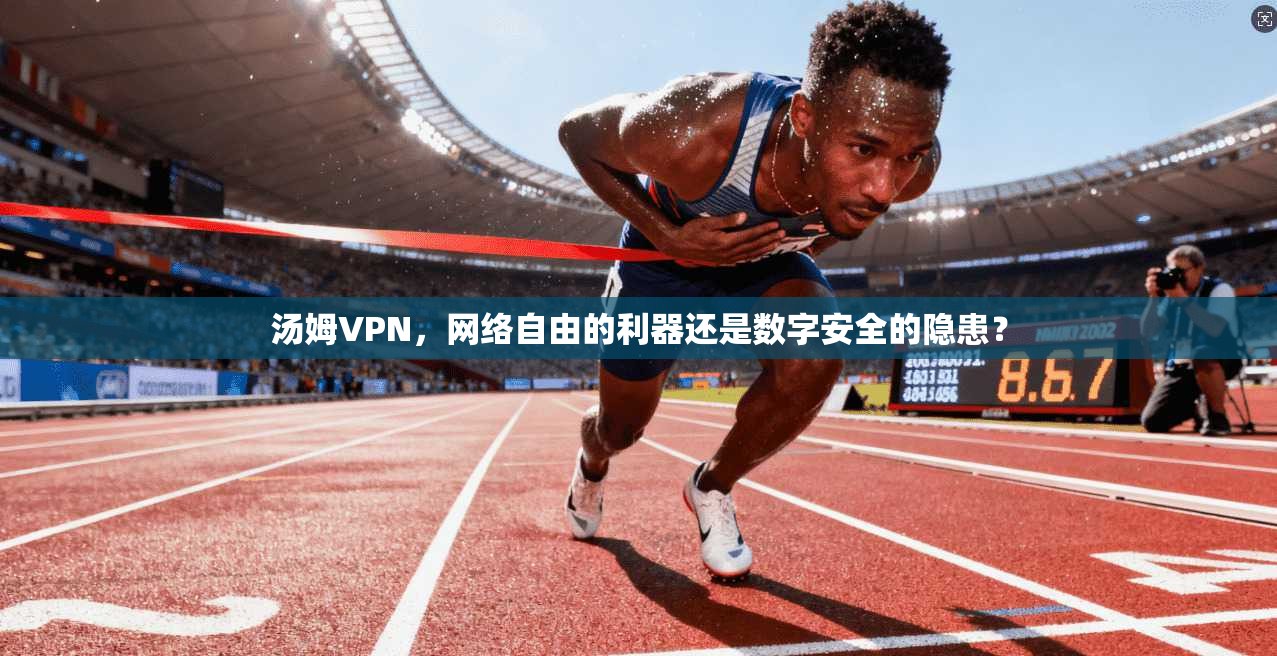 汤姆VPN，网络自由的利器还是数字安全的隐患？