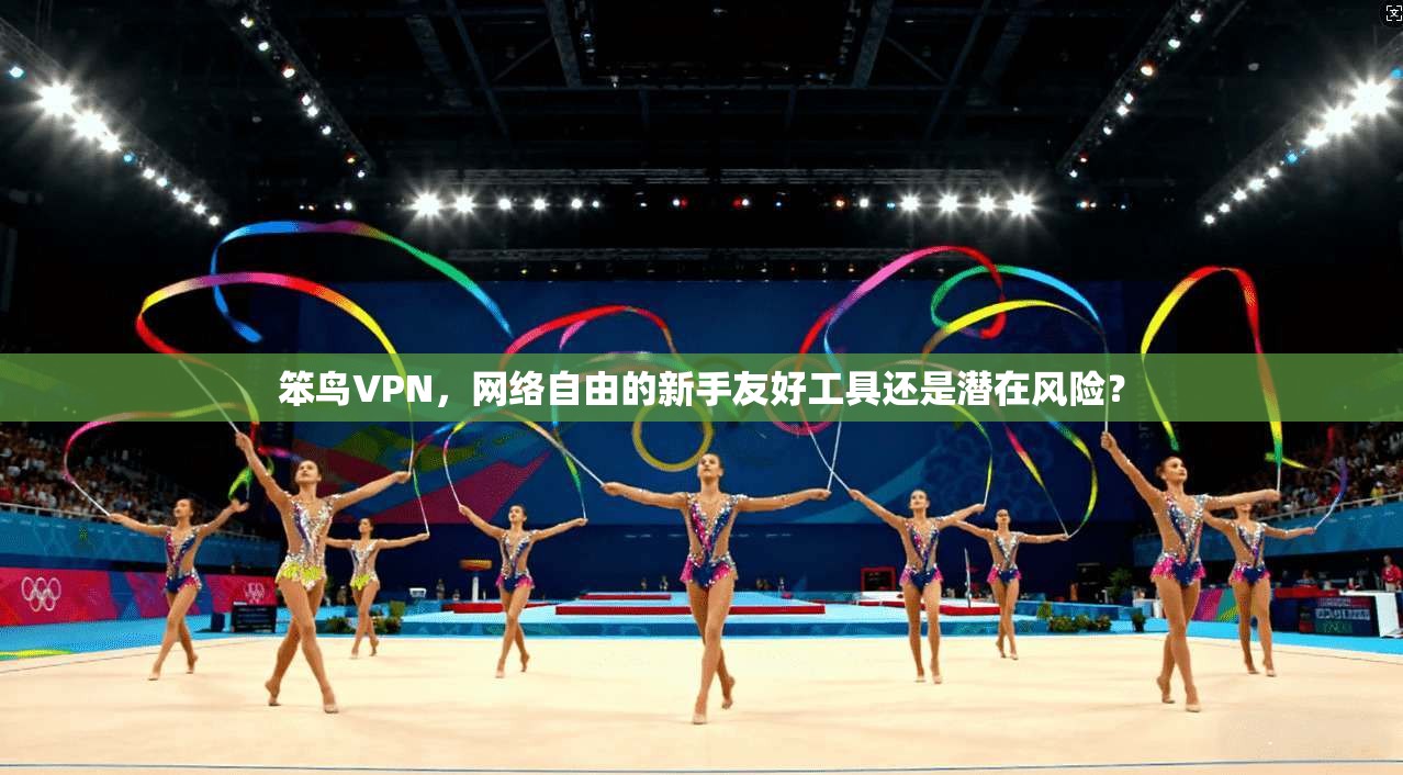 笨鸟VPN，网络自由的新手友好工具还是潜在风险？