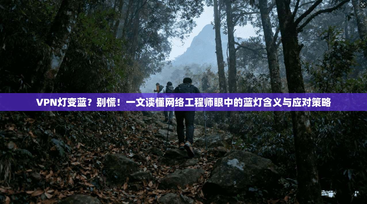 VPN灯变蓝？别慌！一文读懂网络工程师眼中的蓝灯含义与应对策略