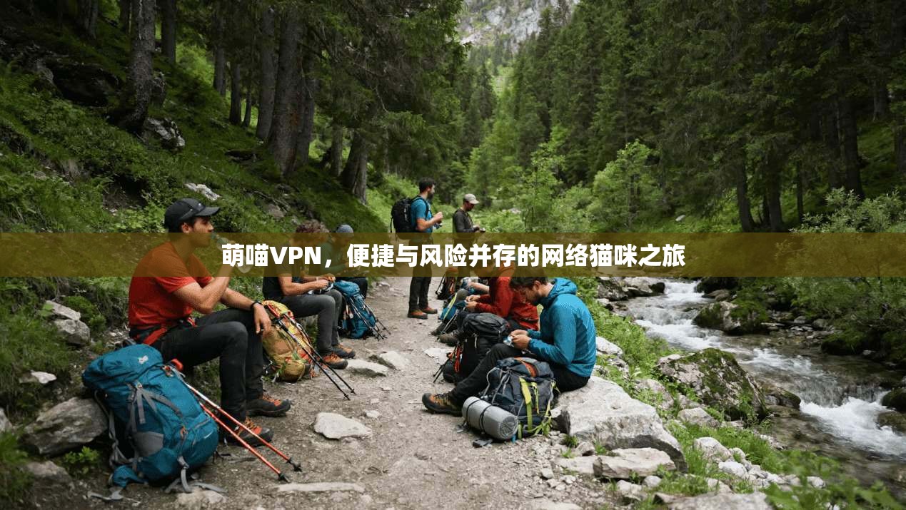 萌喵VPN，便捷与风险并存的网络猫咪之旅