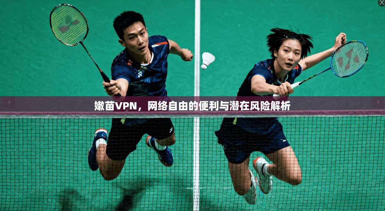 嫩苗VPN，网络自由的便利与潜在风险解析