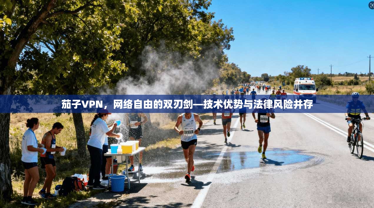 茄子VPN，网络自由的双刃剑—技术优势与法律风险并存