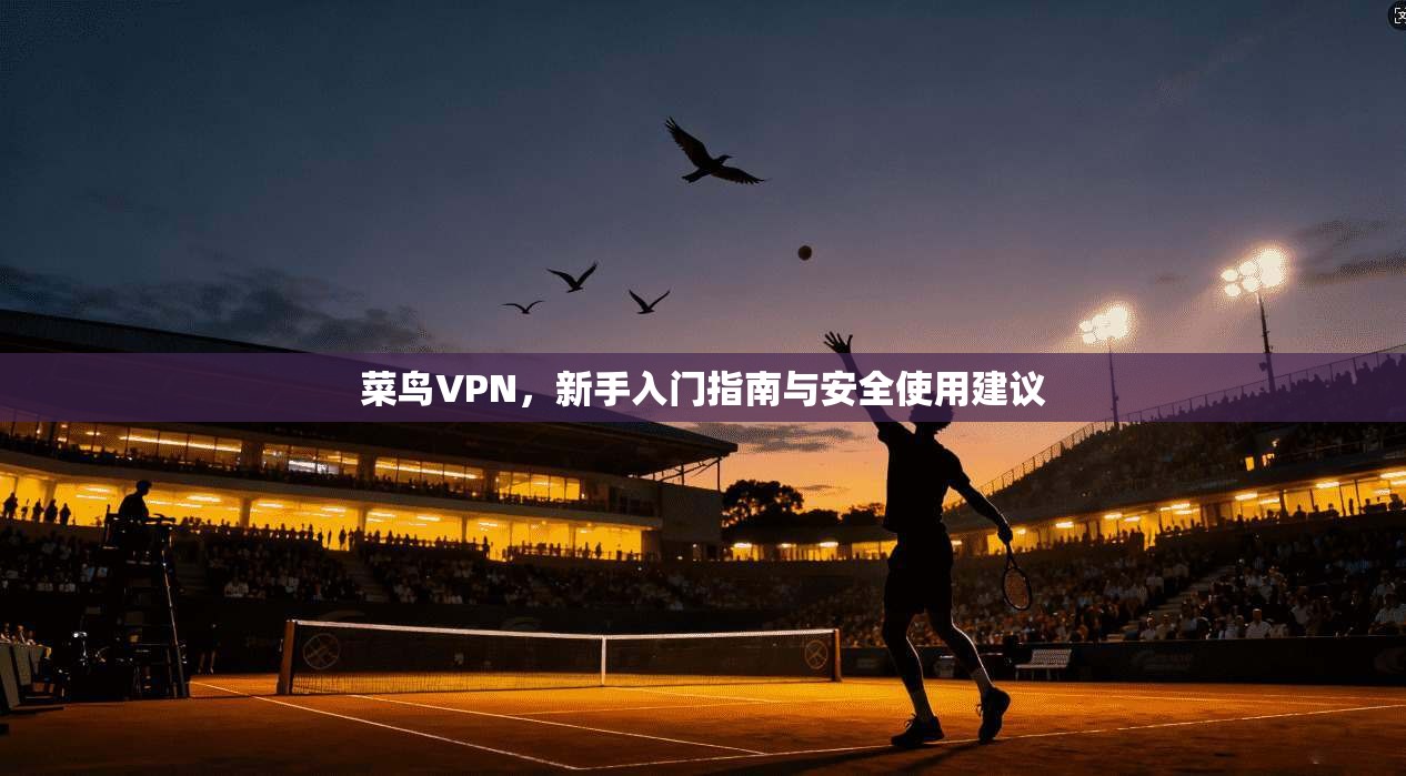 菜鸟VPN，新手入门指南与安全使用建议