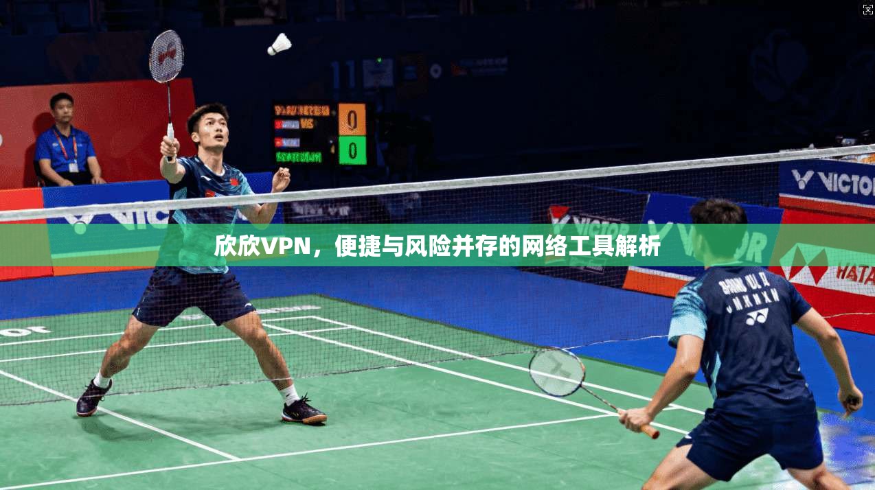 欣欣VPN，便捷与风险并存的网络工具解析