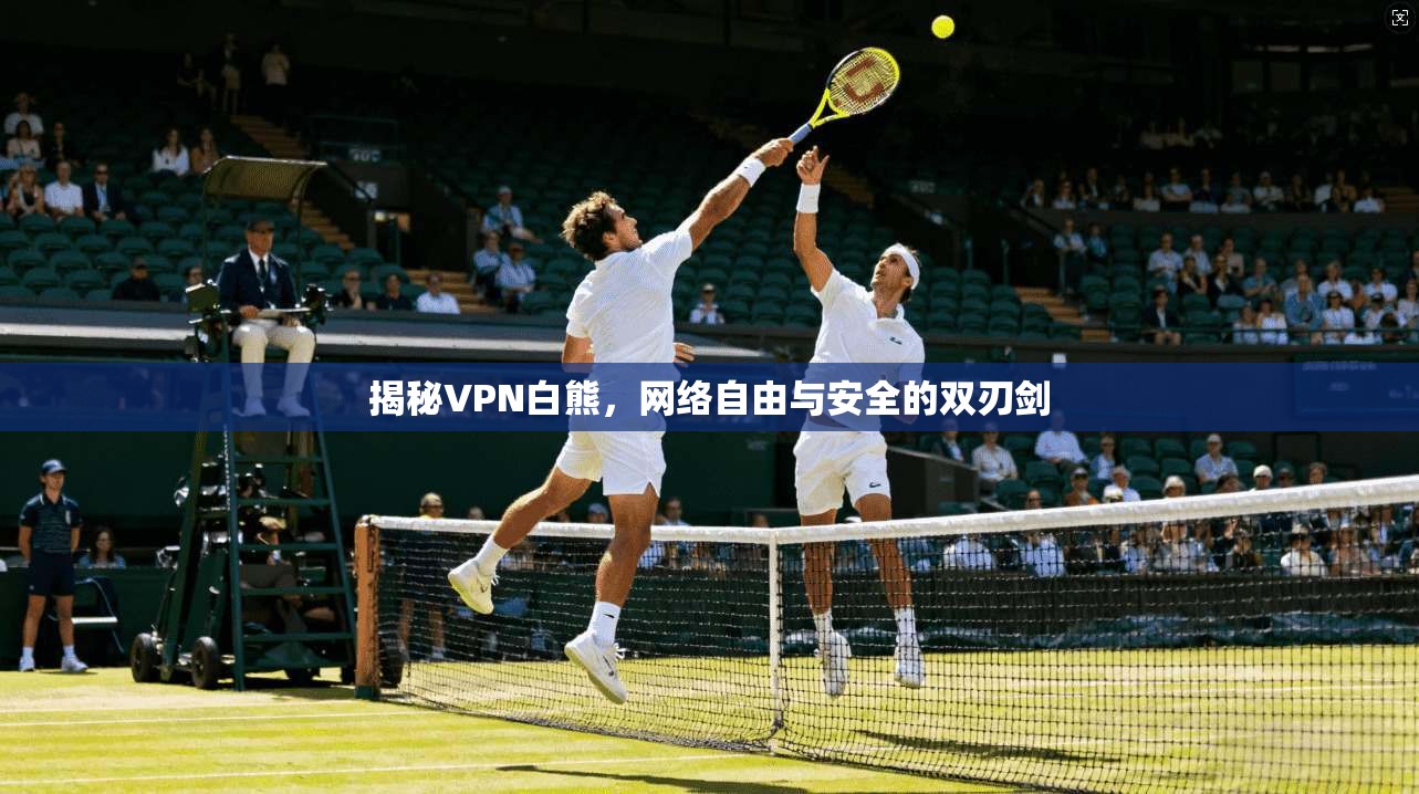 揭秘VPN白熊，网络自由与安全的双刃剑