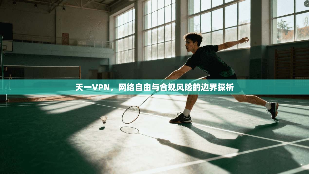 天一VPN，网络自由与合规风险的边界探析