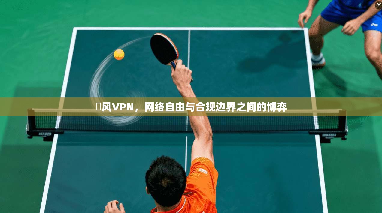 賽风VPN，网络自由与合规边界之间的博弈