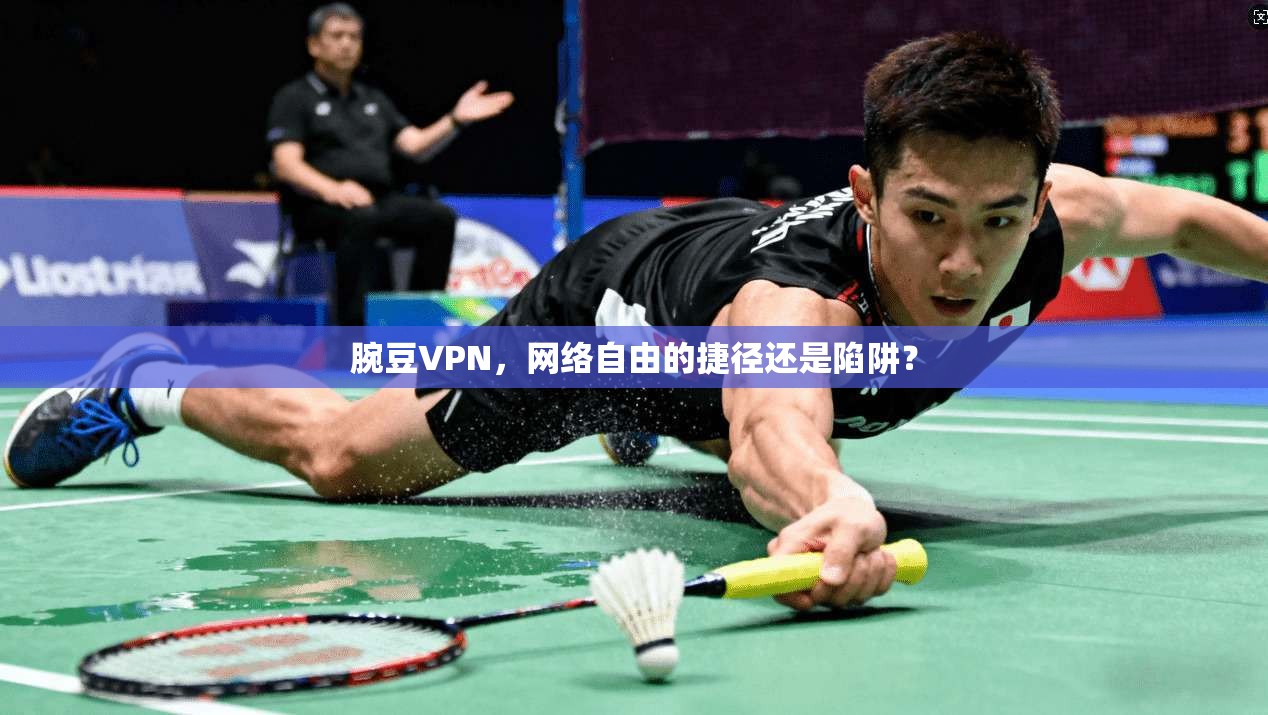 腕豆VPN，网络自由的捷径还是陷阱？