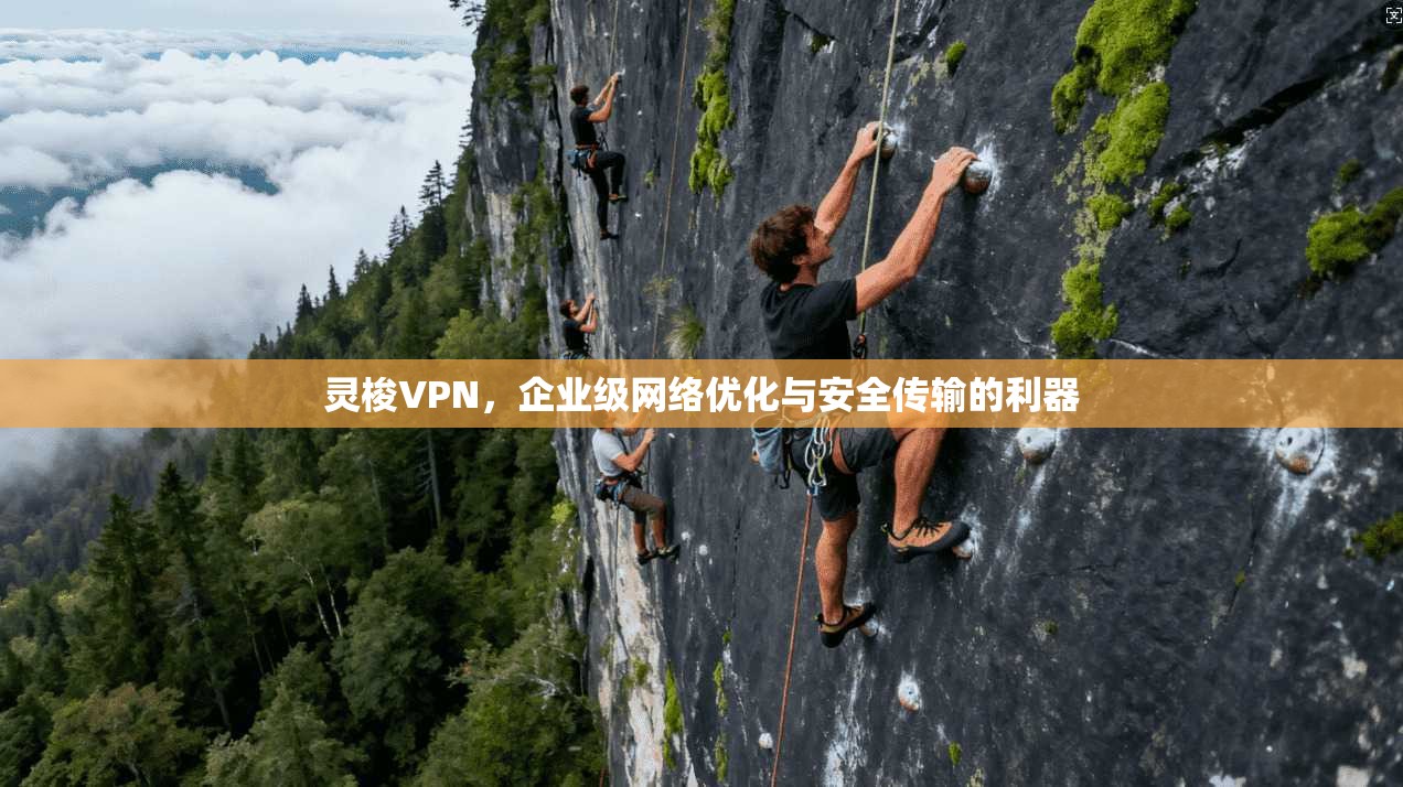 灵梭VPN，企业级网络优化与安全传输的利器