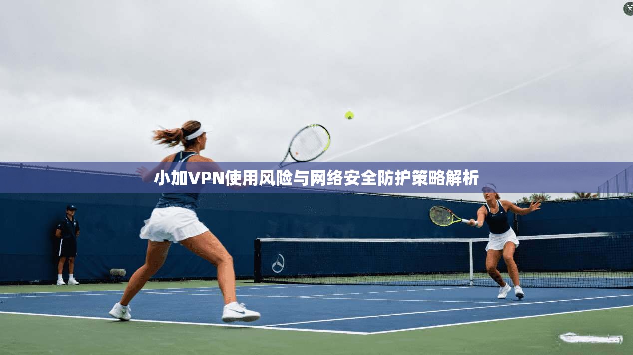 小加VPN使用风险与网络安全防护策略解析