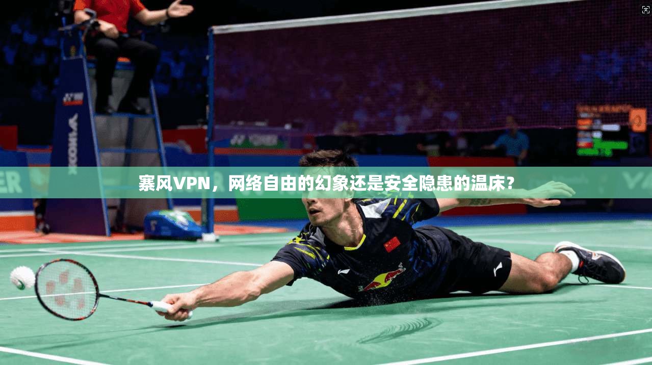 寨风VPN，网络自由的幻象还是安全隐患的温床？