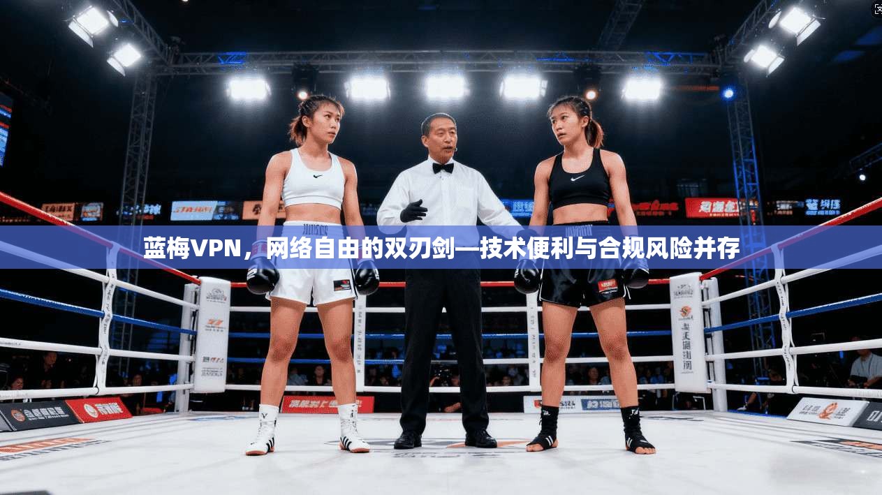 蓝梅VPN，网络自由的双刃剑—技术便利与合规风险并存