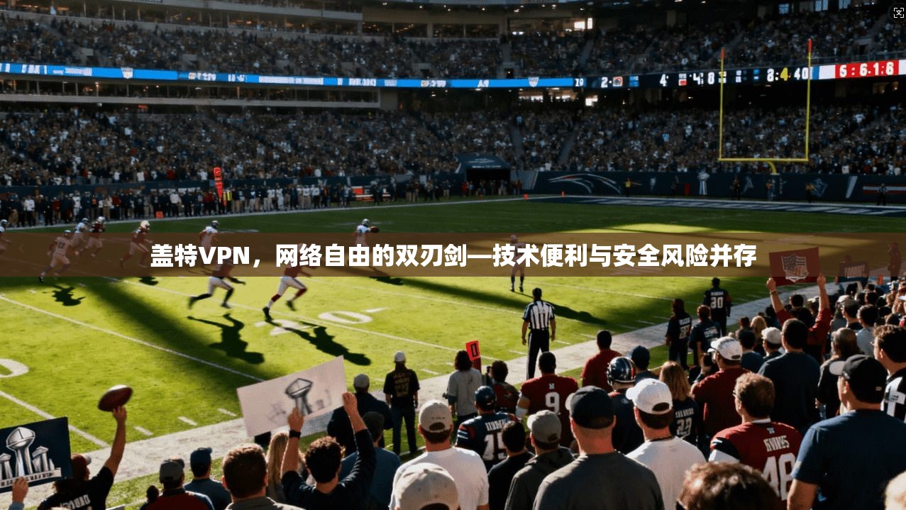 盖特VPN，网络自由的双刃剑—技术便利与安全风险并存