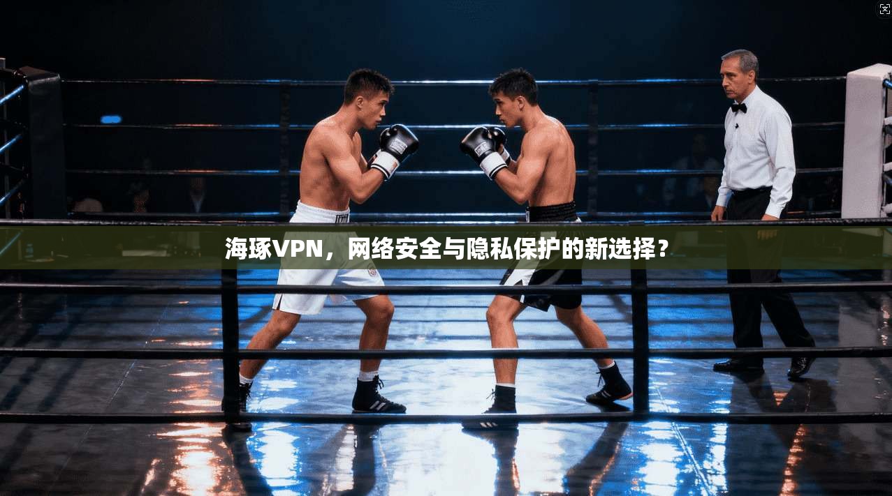 海琢VPN，网络安全与隐私保护的新选择？
