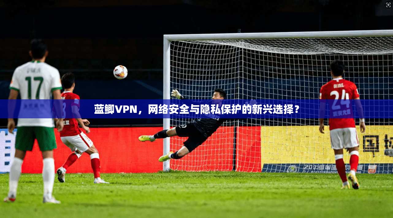 蓝鲫VPN，网络安全与隐私保护的新兴选择？