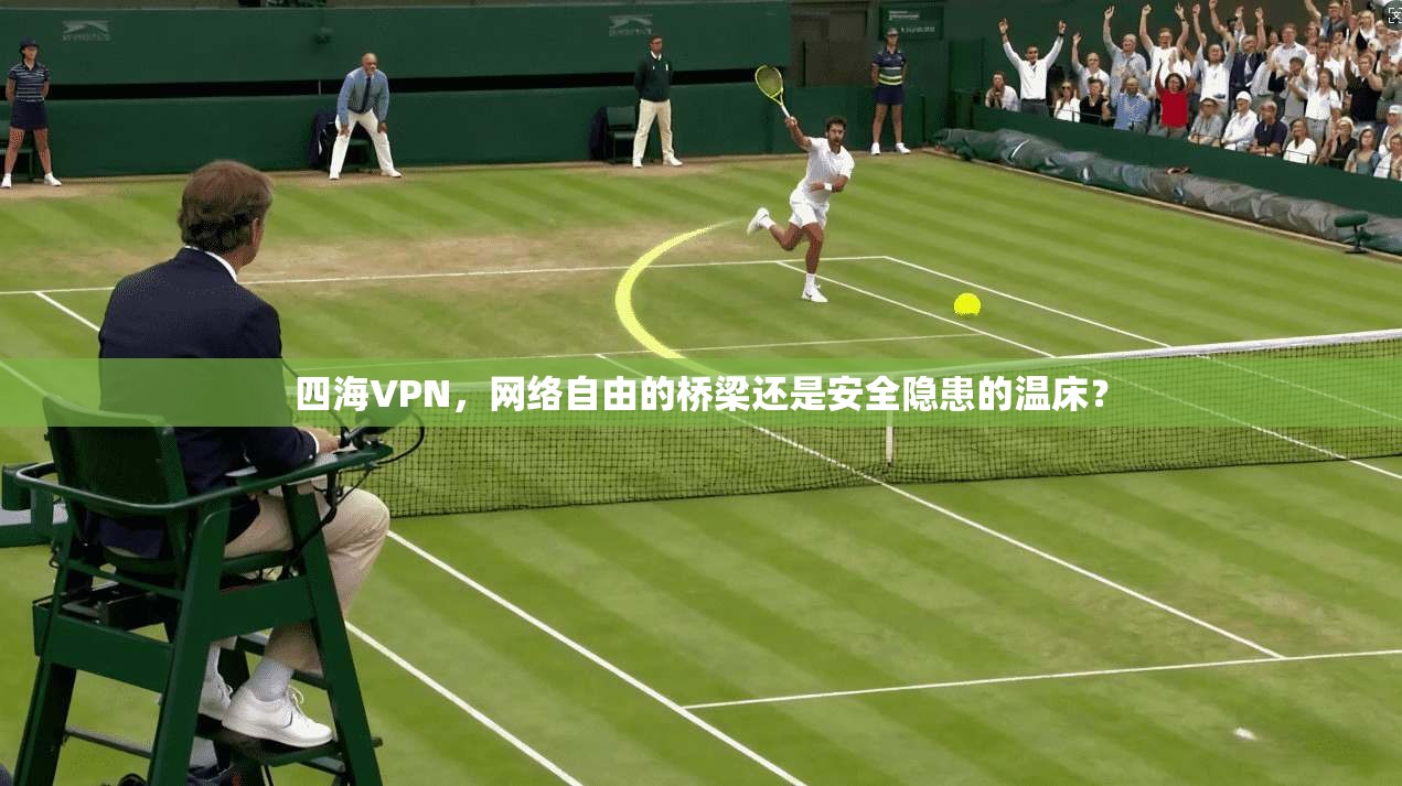 四海VPN，网络自由的桥梁还是安全隐患的温床？