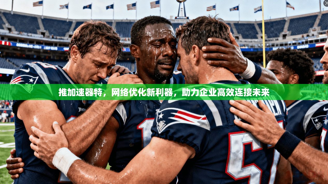 推加速器特，网络优化新利器，助力企业高效连接未来