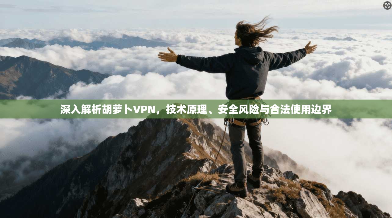 深入解析胡萝卜VPN，技术原理、安全风险与合法使用边界