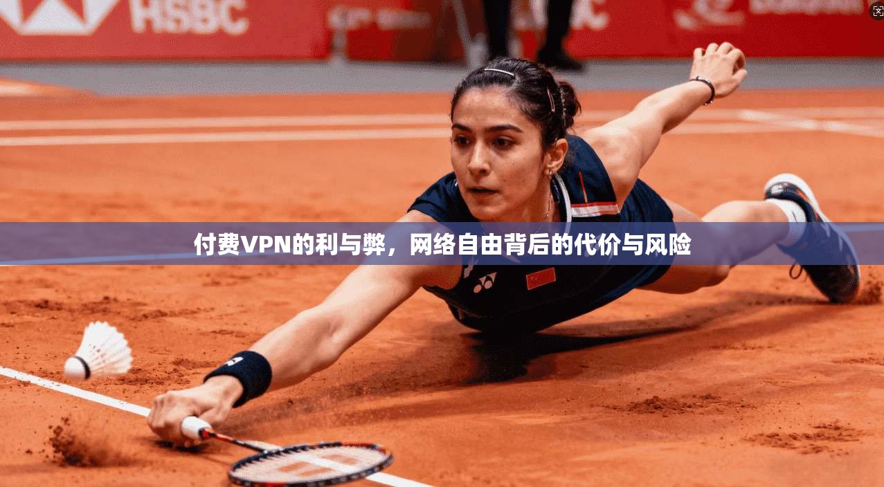 付费VPN的利与弊，网络自由背后的代价与风险