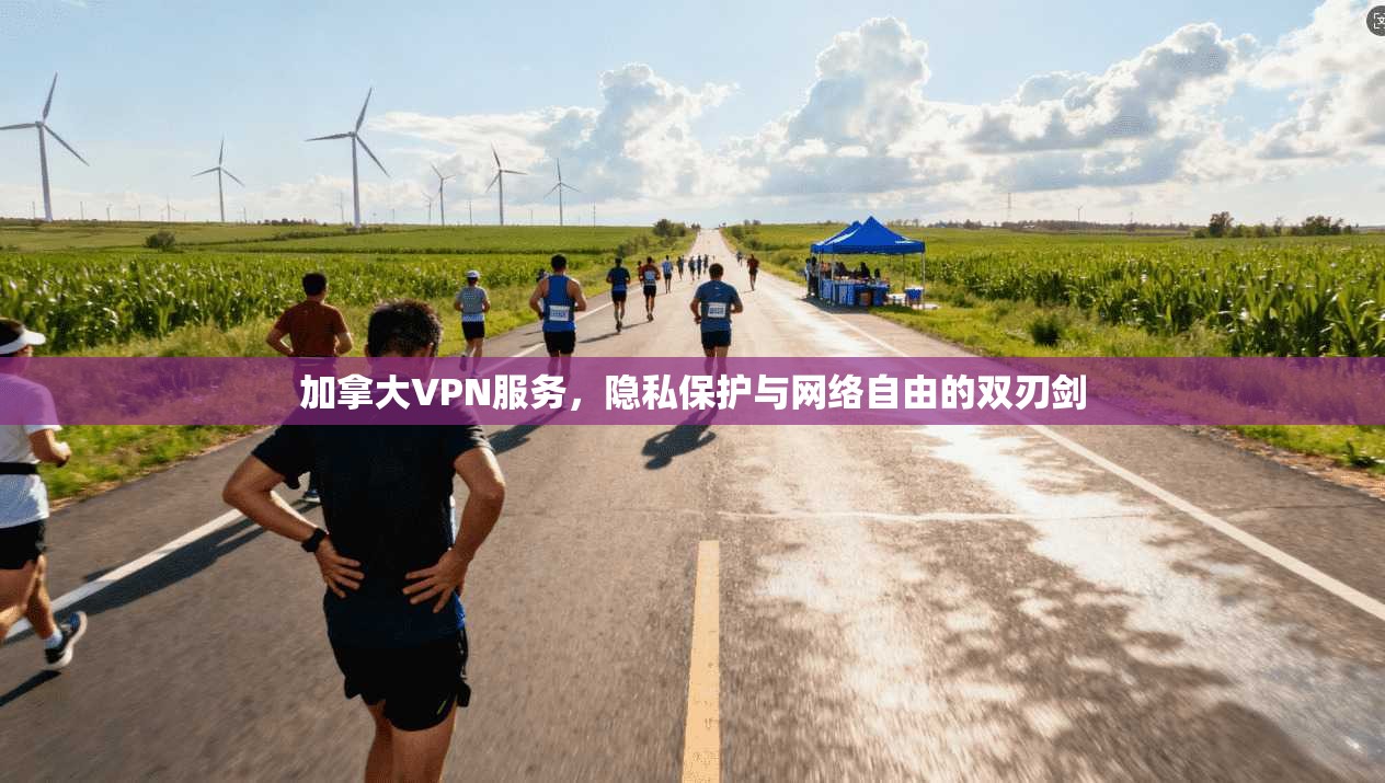 加拿大VPN服务，隐私保护与网络自由的双刃剑
