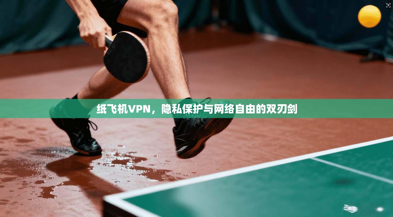纸飞机VPN，隐私保护与网络自由的双刃剑