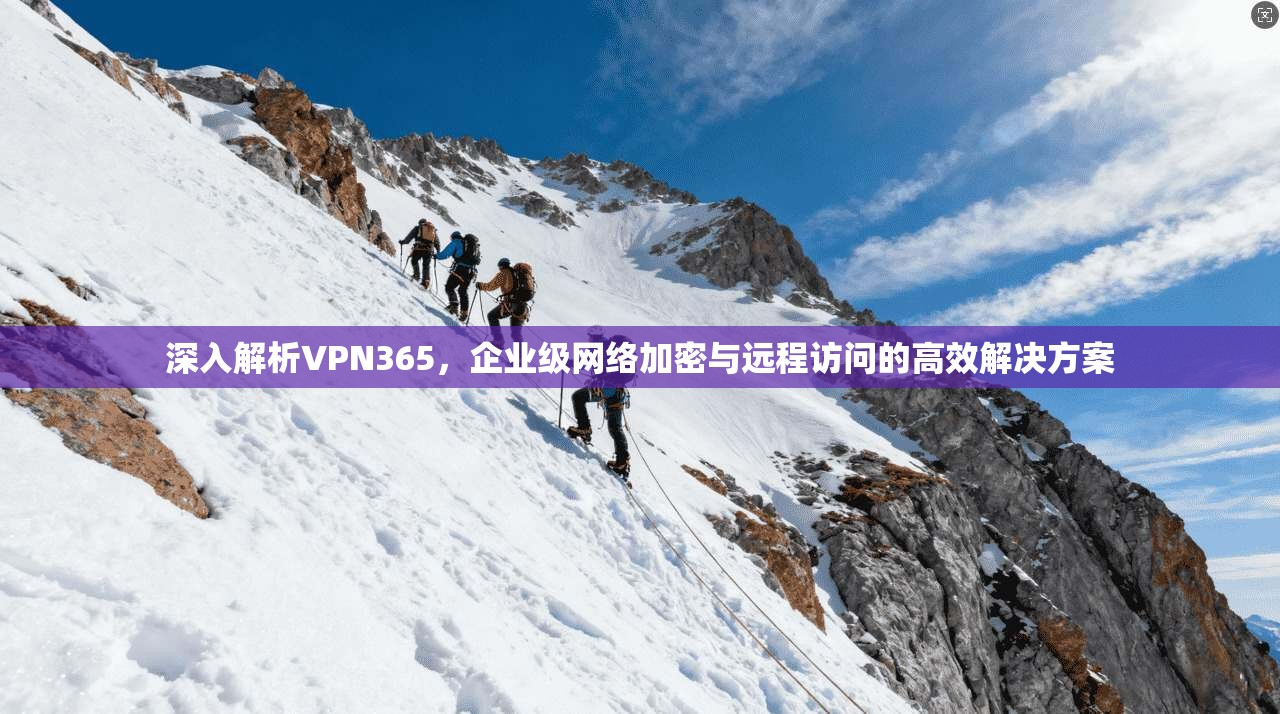 深入解析VPN365,企业级网络加密与远程访问的高效解决方案
