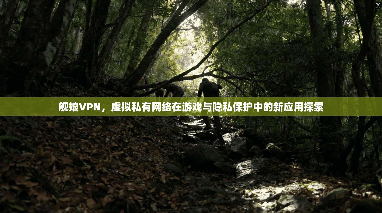 舰娘VPN，虚拟私有网络在游戏与隐私保护中的新应用探索
