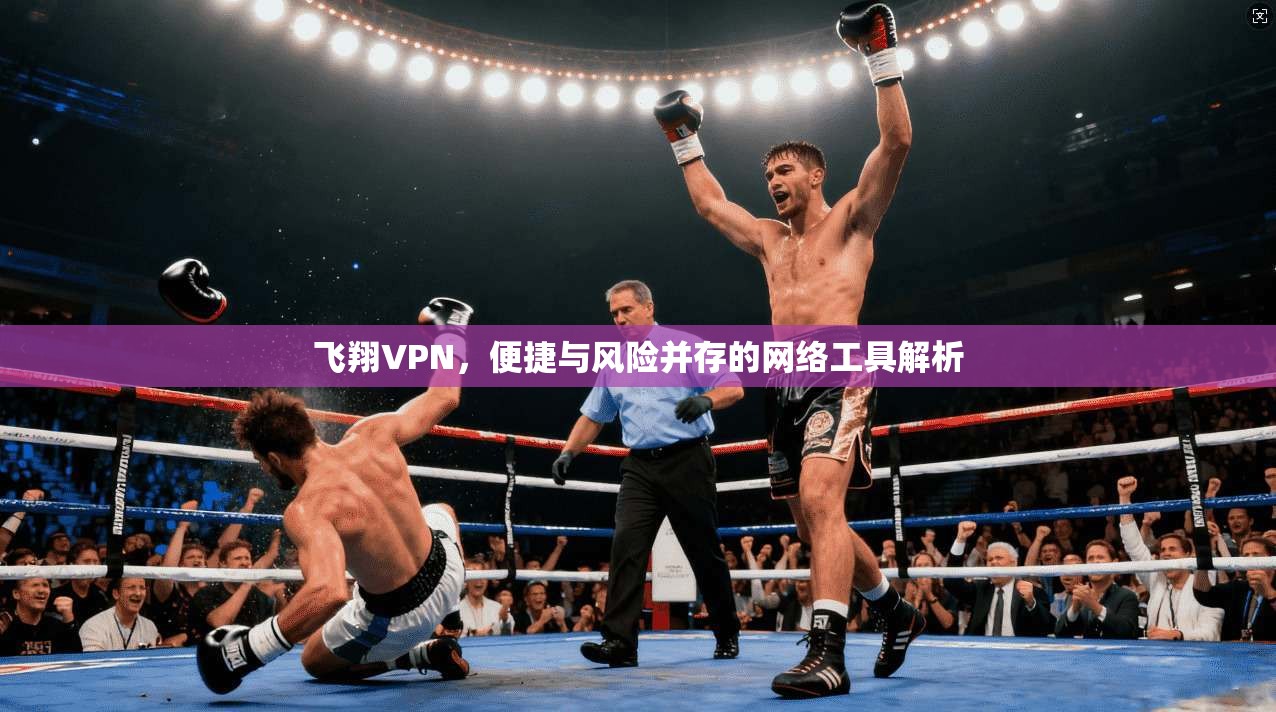飞翔VPN，便捷与风险并存的网络工具解析