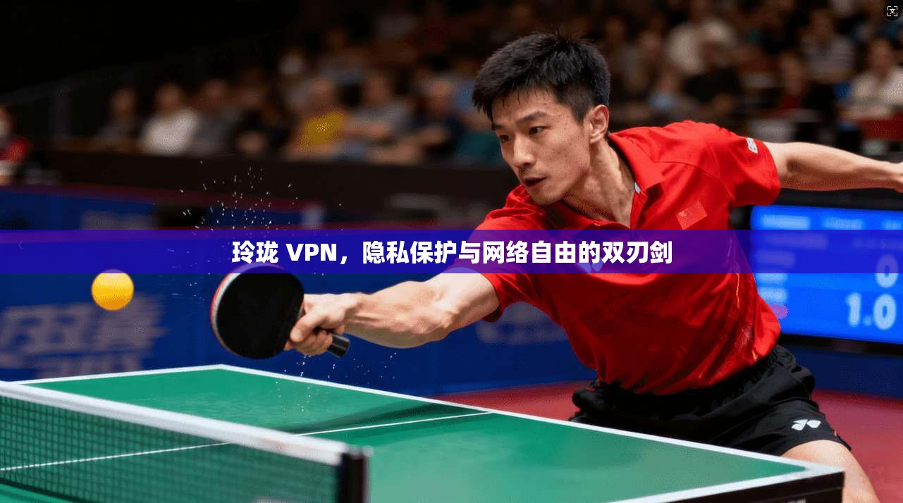 玲珑 VPN，隐私保护与网络自由的双刃剑