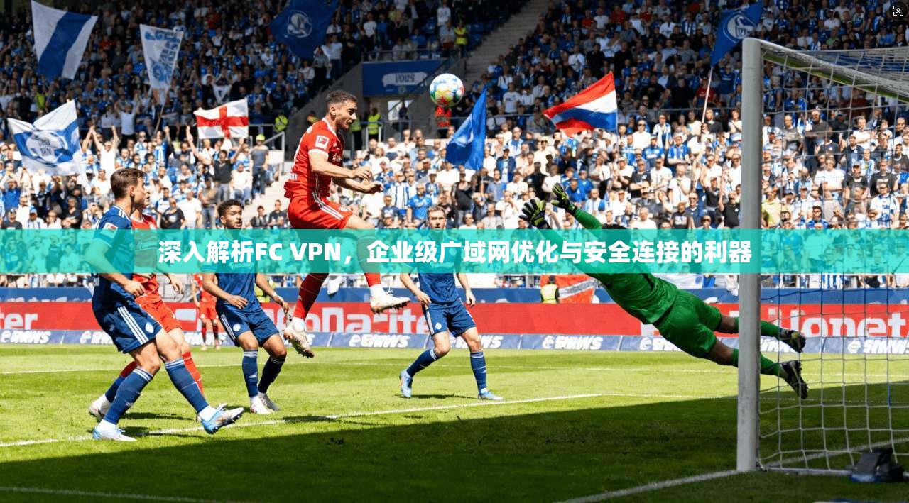 深入解析FC VPN，企业级广域网优化与安全连接的利器