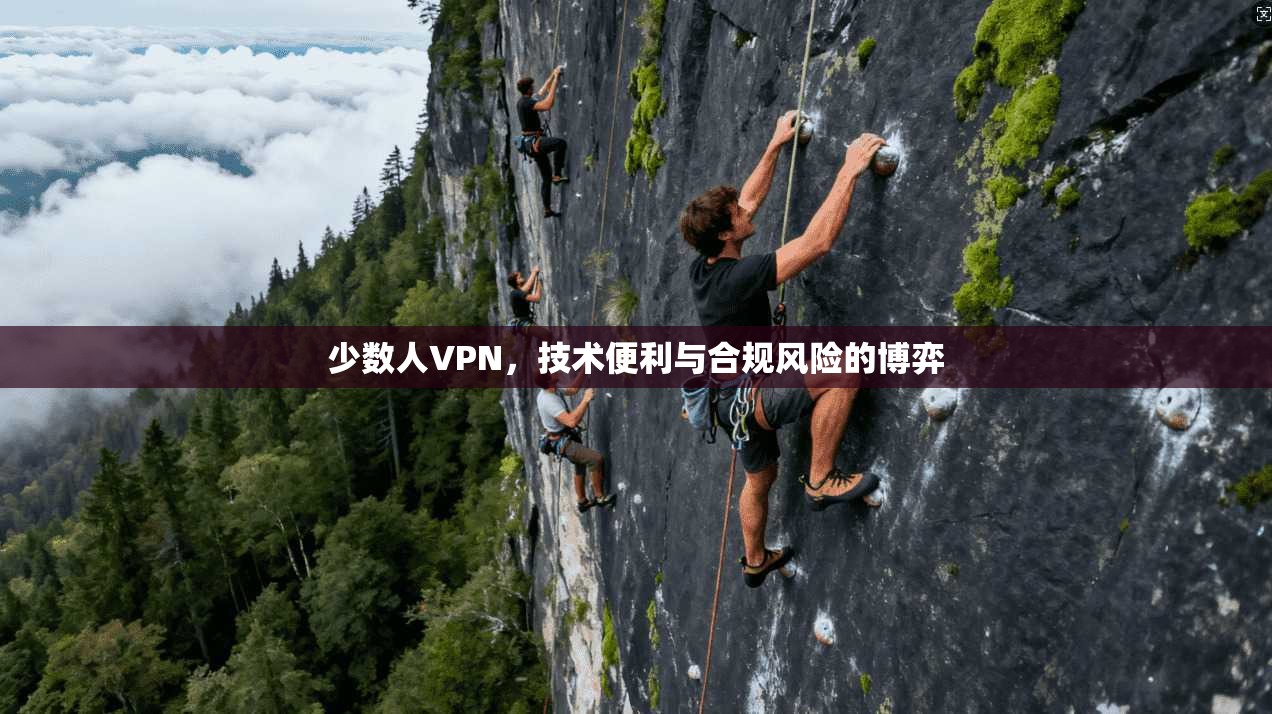 少数人VPN，技术便利与合规风险的博弈