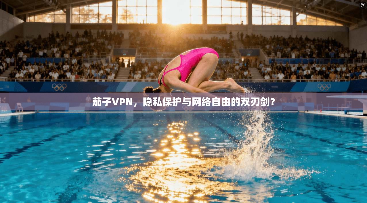 茄子VPN，隐私保护与网络自由的双刃剑？