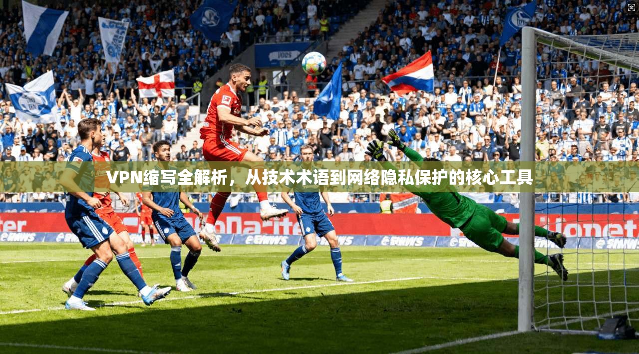 VPN缩写全解析，从技术术语到网络隐私保护的核心工具