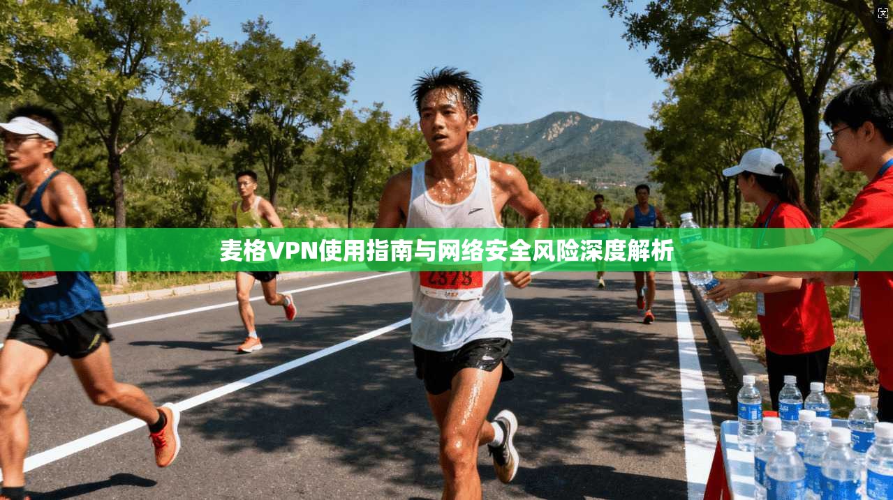 麦格VPN使用指南与网络安全风险深度解析