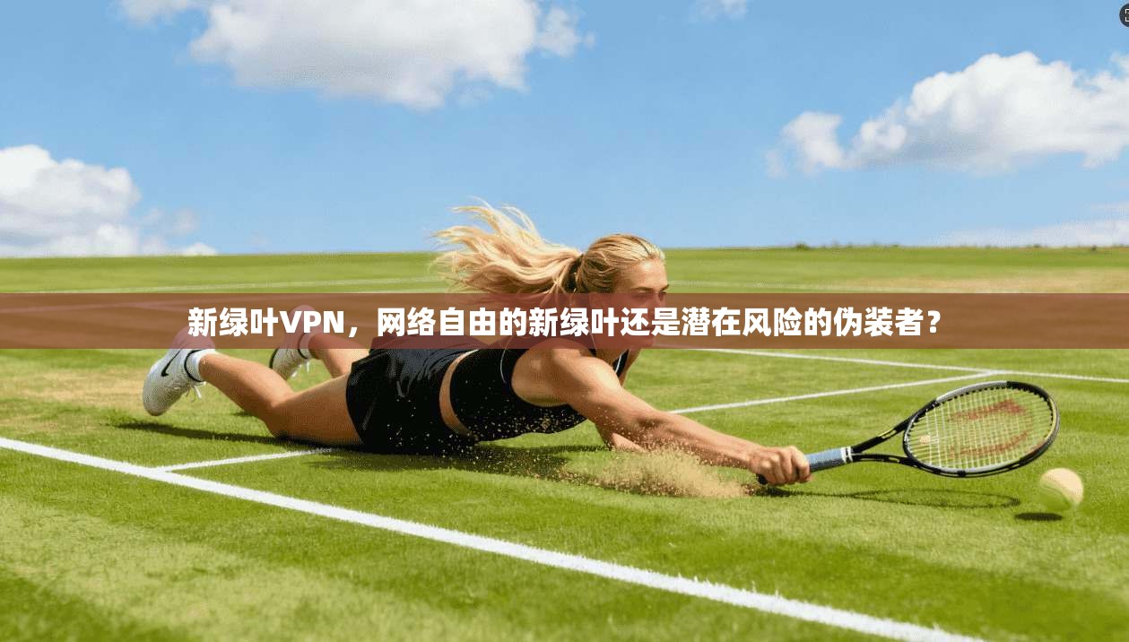 新绿叶VPN，网络自由的新绿叶还是潜在风险的伪装者？