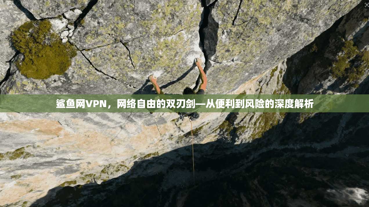 鲨鱼网VPN，网络自由的双刃剑—从便利到风险的深度解析