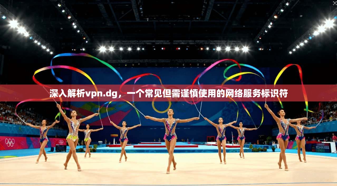 深入解析vpn.dg，一个常见但需谨慎使用的网络服务标识符