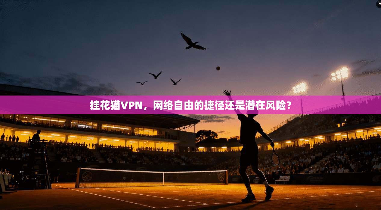 挂花猫VPN，网络自由的捷径还是潜在风险？